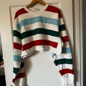 Champion-cropped sweater
